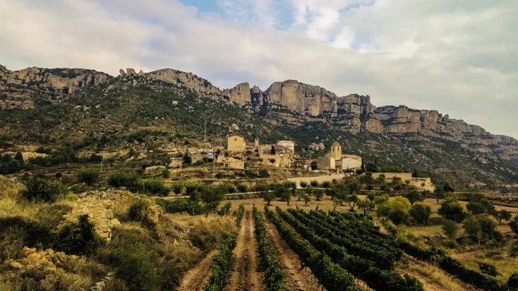 Lesser-Known Spanish Wine Regions Worth Discovering